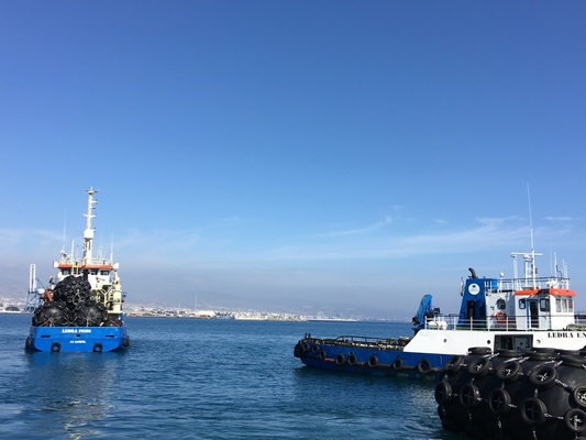 defensa de goma de pesca 50Kpa de la plataforma costera neumática del barco para la nave