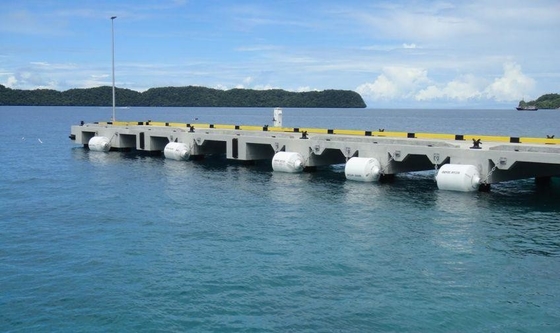 El OEM permitió al proveedor estupendo de las defensas de Marine Boat Balloon Fender Rubber