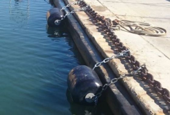 Arreglo para requisitos particulares de la fuente de la fábrica con el barco de la protección de la nave de defensa de la colisión