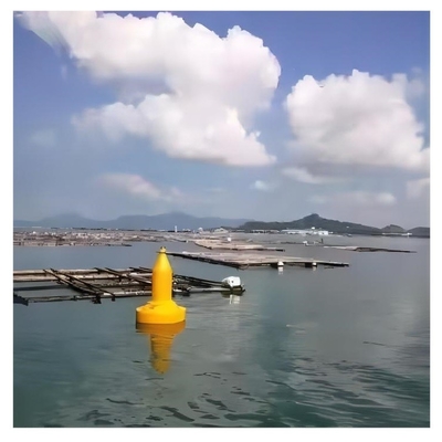 Boya de plástico moldeado por rotación para la construcción naval