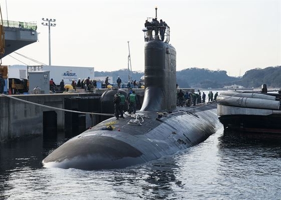 Defensa de goma submarina de goma pura para el tope que amarra de alta presión de la protección portuaria