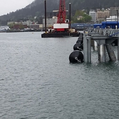 La protección de la nave cerró la defensa EVA Bumper portátil del muelle de la espuma del polietileno de la célula