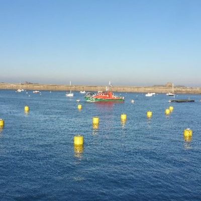Boya de alta resistencia de la barrera de Eva Foam Filled Marine Floating Buoy CCS